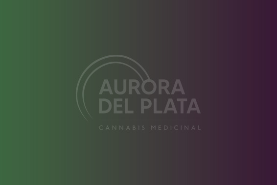 Resolución 1780/2025: Nuevo marco regulatorio para el REPROCANN