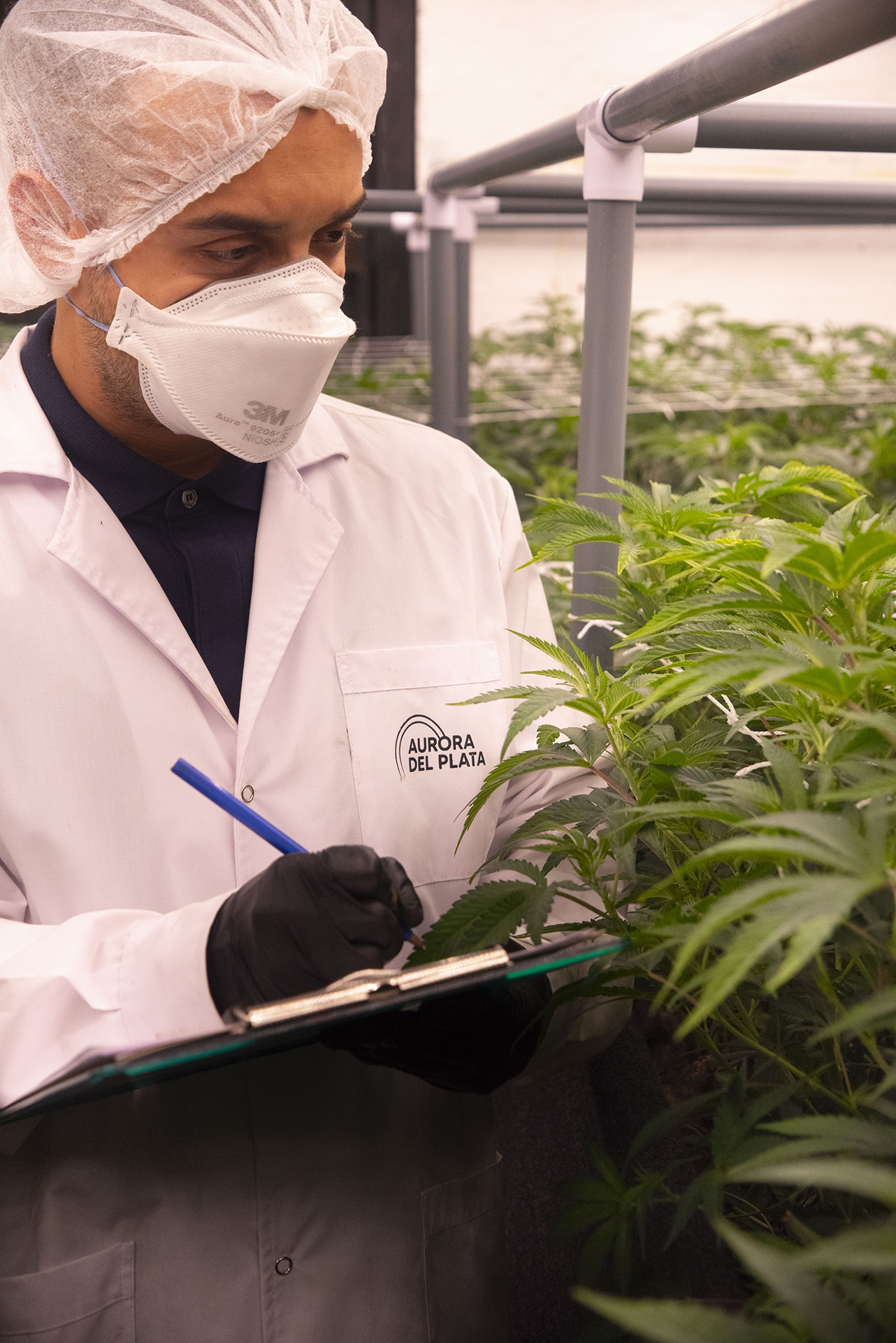 Estándar de Calidad