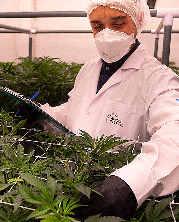 Investigación